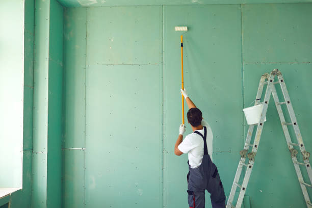 Mold Removal for HVAC Installations in Snow Hill, NC