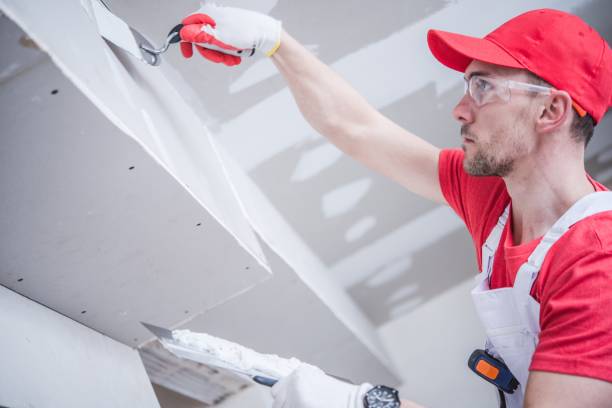 Professional Mold Removal in Snow Hill, NC